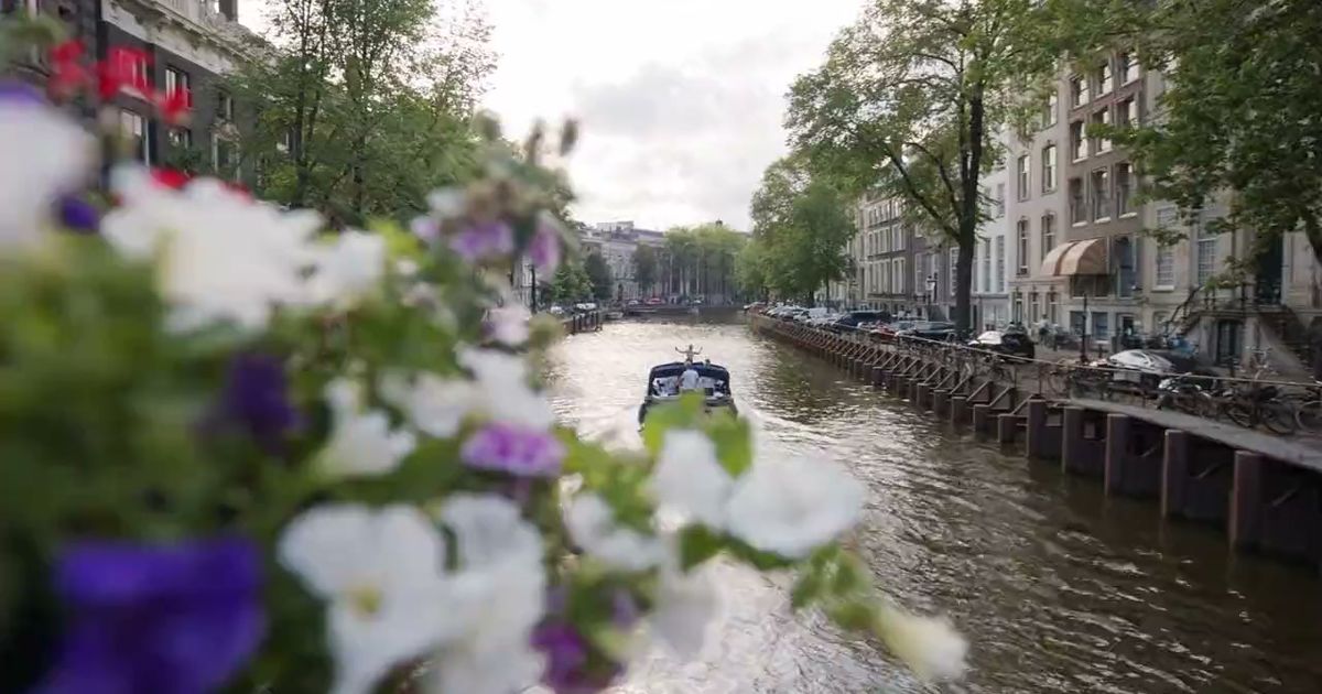 Floating Amsterdam, Amsterdam